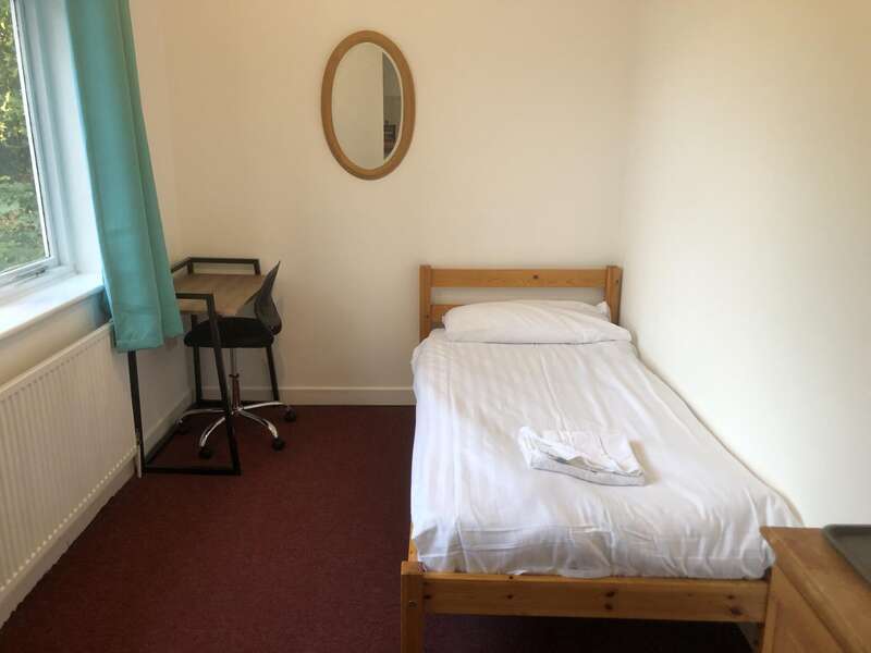 Standard Single Room Shared bathroom (Room Only)